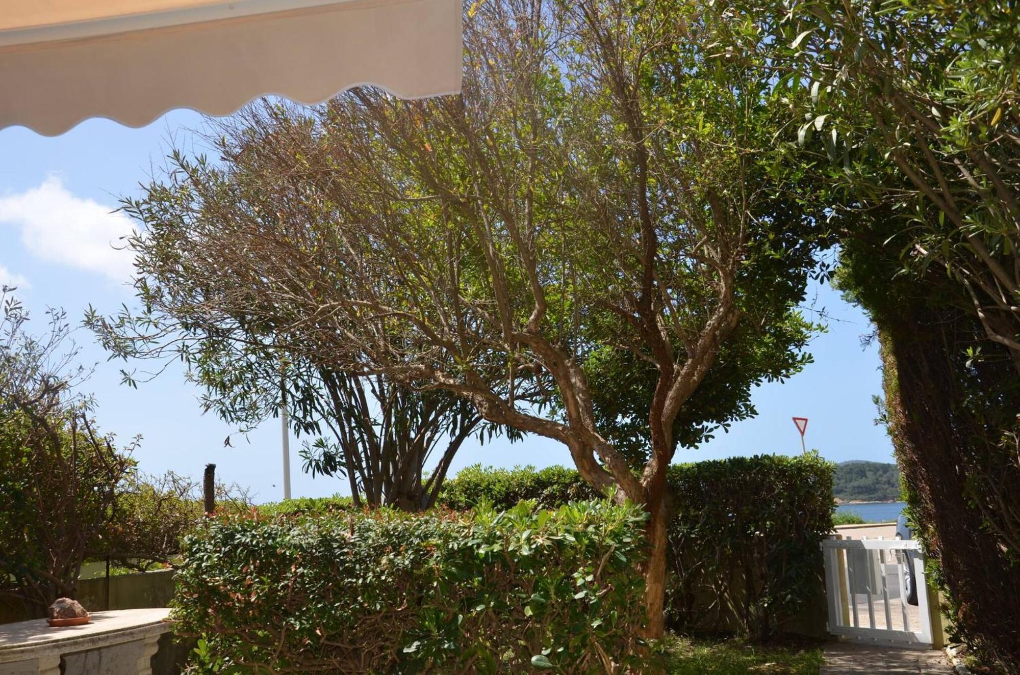 Fantastic Sardinia Villette Con Giardino Fronte Mare Fertilia Faho-Gav01-Gav02 Extérieur photo