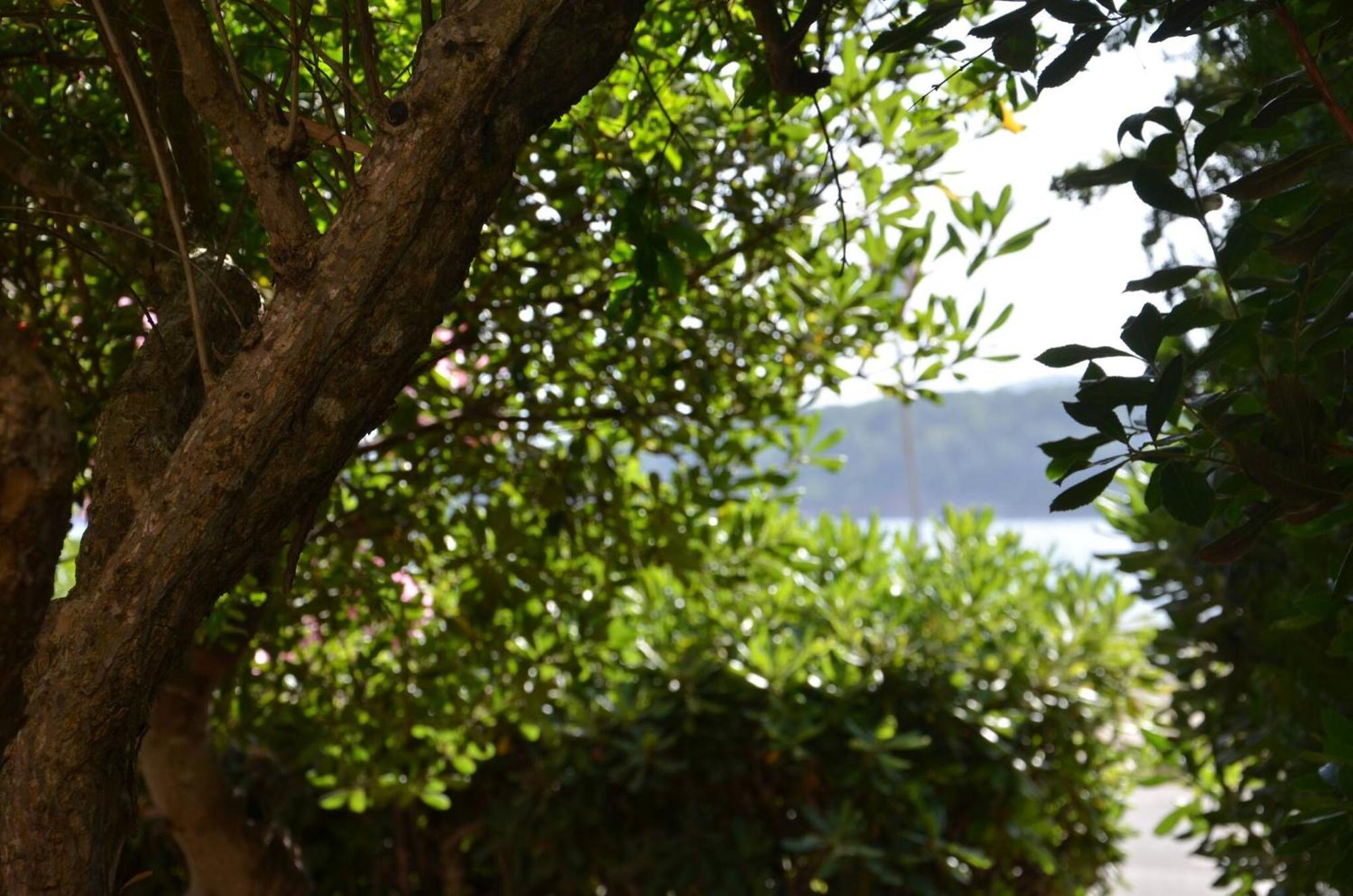 Fantastic Sardinia Villette Con Giardino Fronte Mare Fertilia Faho-Gav01-Gav02 Extérieur photo