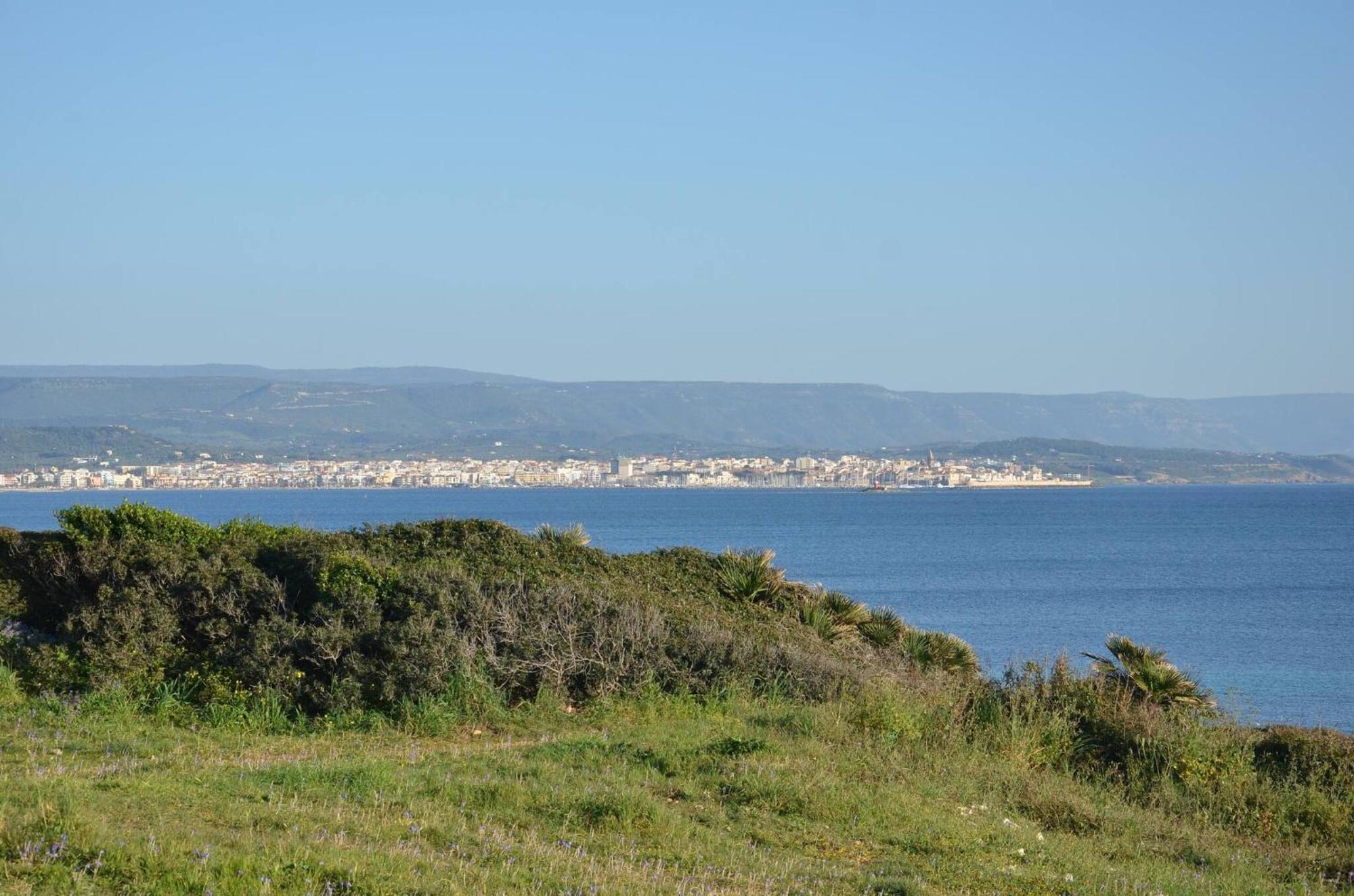 Fantastic Sardinia Villette Con Giardino Fronte Mare Fertilia Faho-Gav01-Gav02 Extérieur photo