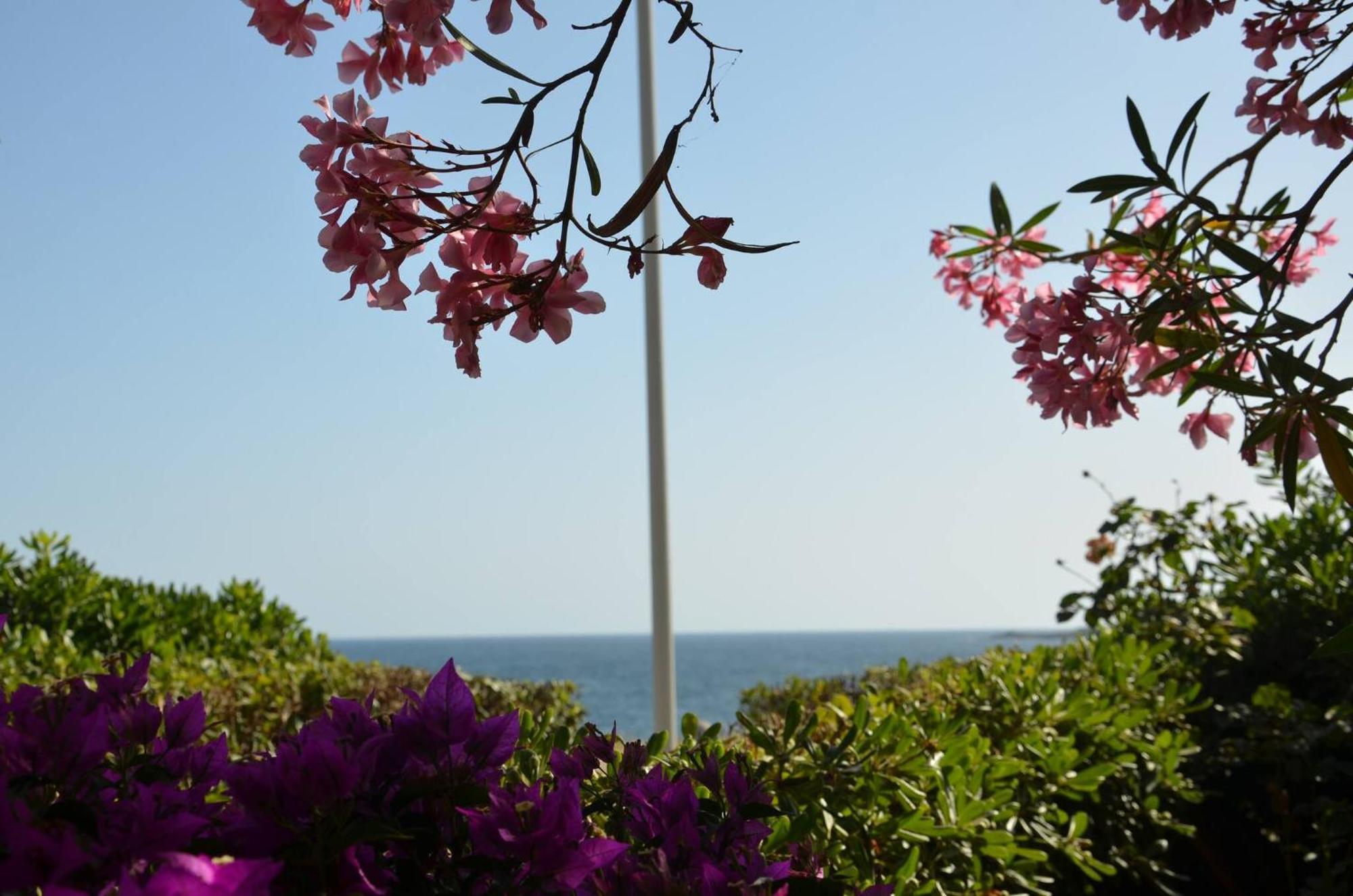 Fantastic Sardinia Villette Con Giardino Fronte Mare Fertilia Faho-Gav01-Gav02 Extérieur photo