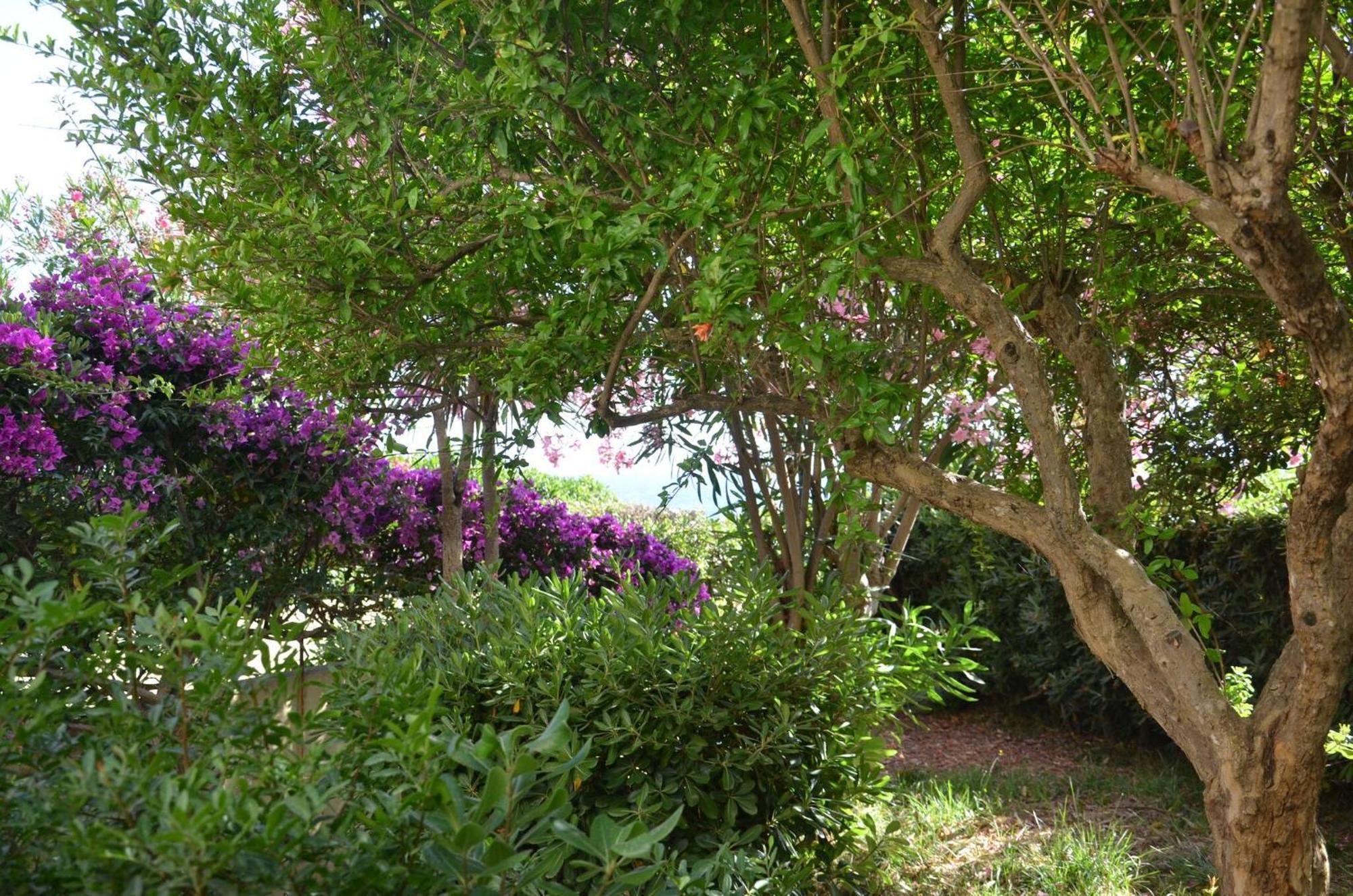 Fantastic Sardinia Villette Con Giardino Fronte Mare Fertilia Faho-Gav01-Gav02 Extérieur photo