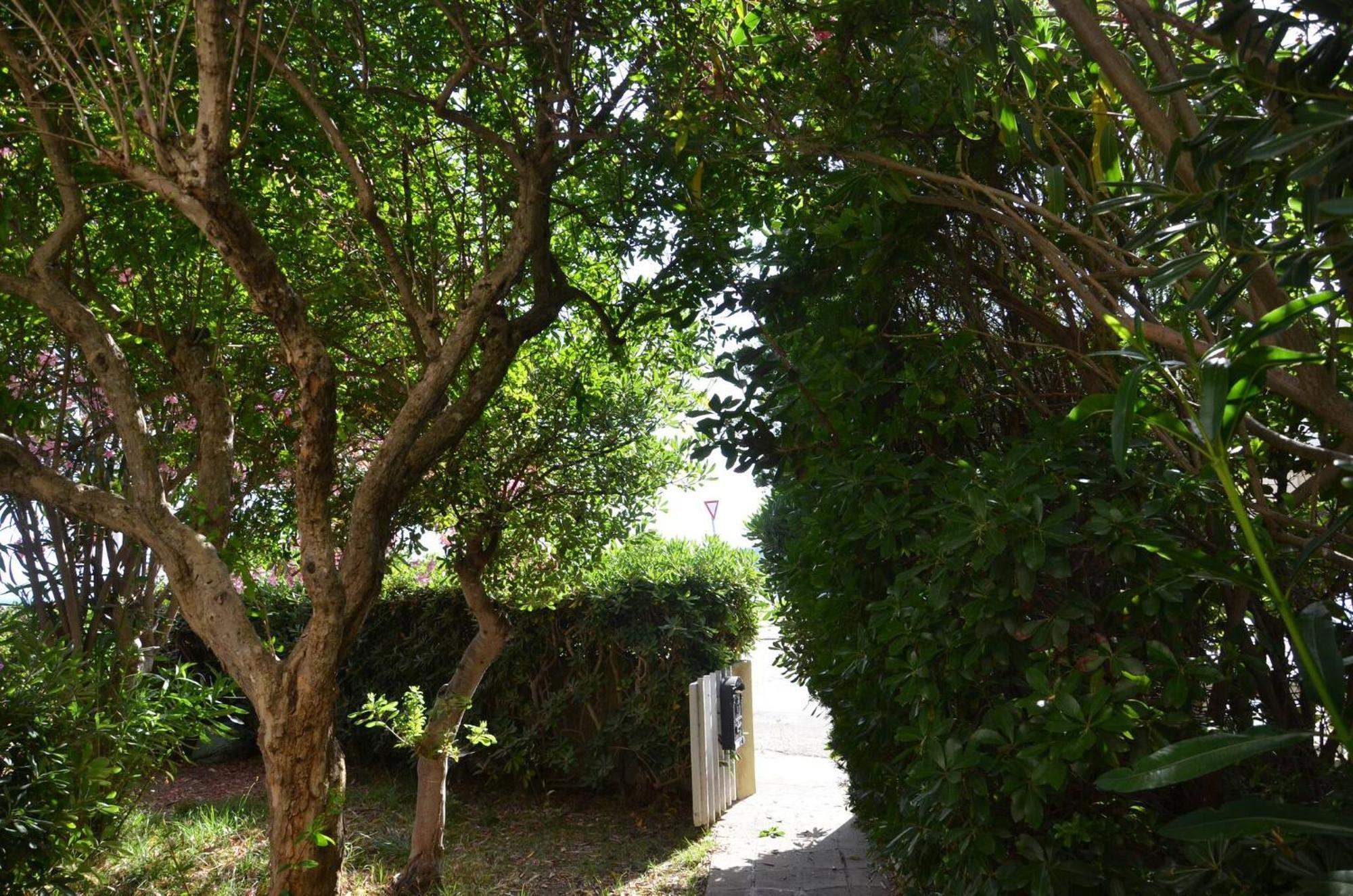 Fantastic Sardinia Villette Con Giardino Fronte Mare Fertilia Faho-Gav01-Gav02 Extérieur photo