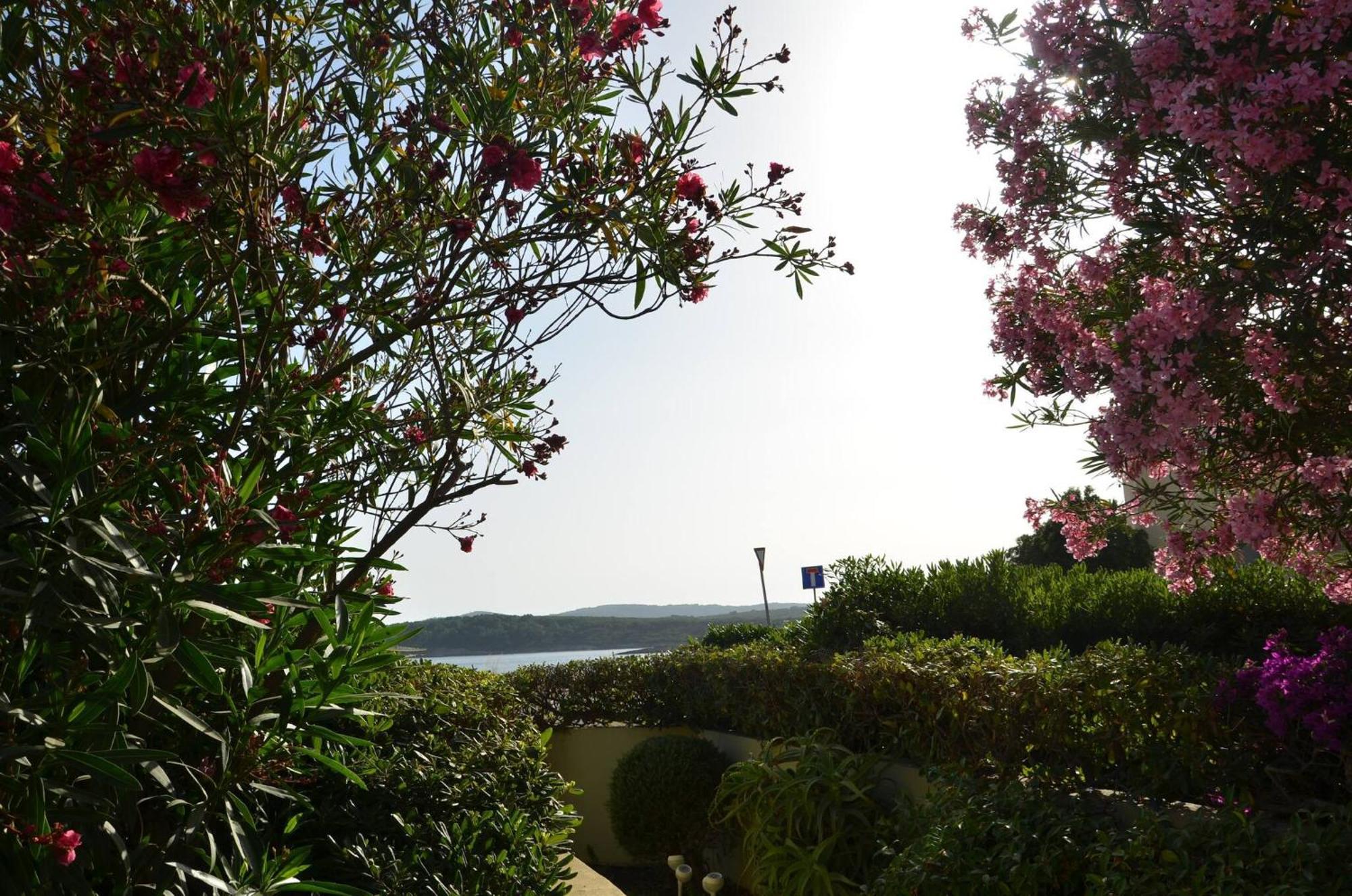 Fantastic Sardinia Villette Con Giardino Fronte Mare Fertilia Faho-Gav01-Gav02 Extérieur photo