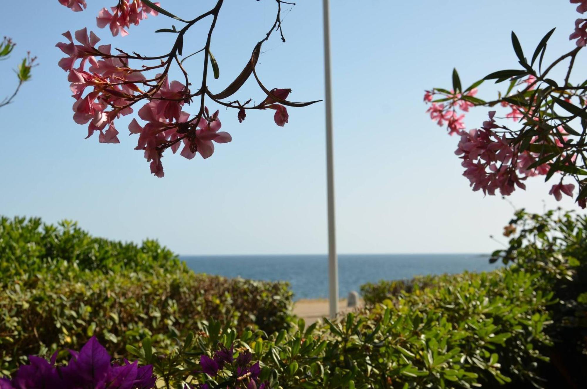 Fantastic Sardinia Villette Con Giardino Fronte Mare Fertilia Faho-Gav01-Gav02 Extérieur photo