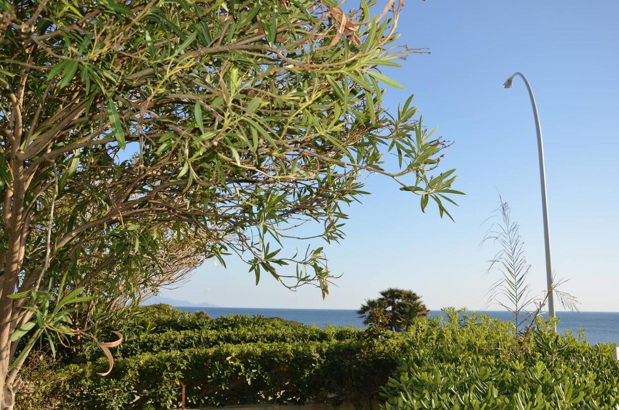 Fantastic Sardinia Villette Con Giardino Fronte Mare Fertilia Faho-Gav01-Gav02 Extérieur photo