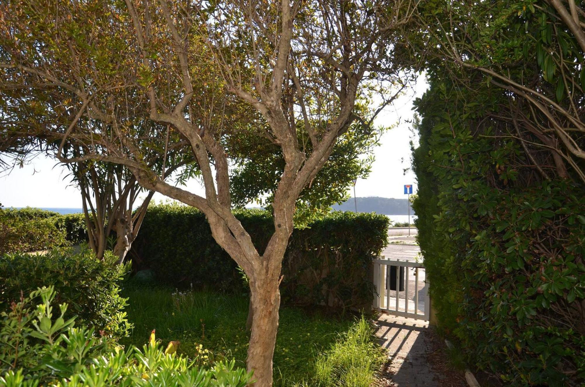 Fantastic Sardinia Villette Con Giardino Fronte Mare Fertilia Faho-Gav01-Gav02 Extérieur photo