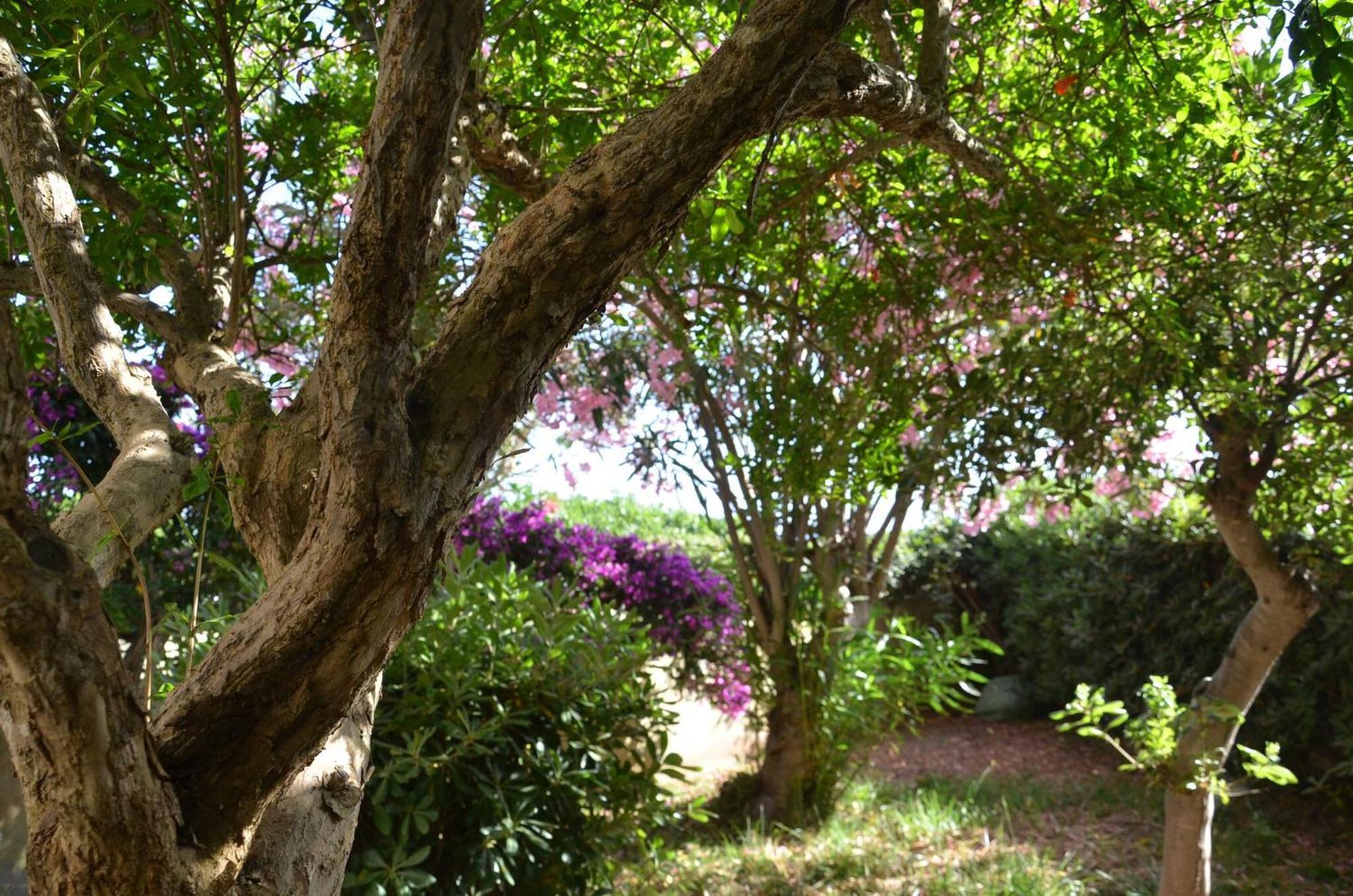 Fantastic Sardinia Villette Con Giardino Fronte Mare Fertilia Faho-Gav01-Gav02 Extérieur photo